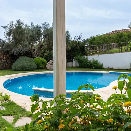 Ginestra Con Piscina E Giardino Privato A 500 Mt Dal Mare Villa