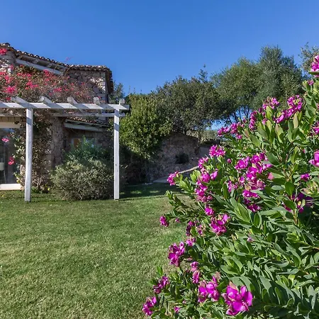 Ginestra Con Piscina E Giardino Privato A 500 Mt Dal Mare Villa